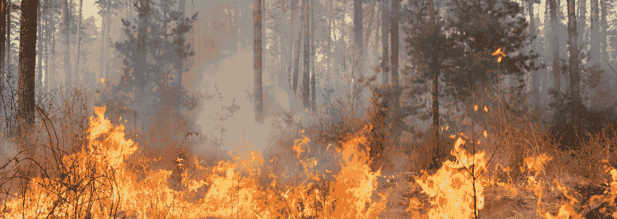 Incendie Gironde indemnisation entreprises