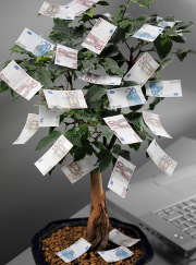 arbre-billets-euros-argent-feuilles